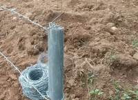 Phân biệt các loại dây thép gai và ứng dụng thực tế
